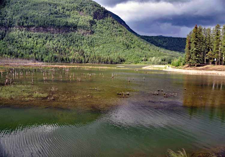 lake scene